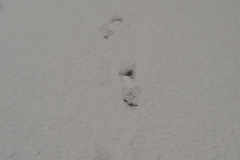 20171217_145103